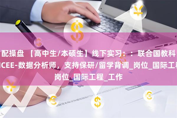 配操盘 【高中生/本硕生】线下实习：：联合国教科文组织ICEE-数据分析师，支持保研/留学背调_岗位_国际工程_工作