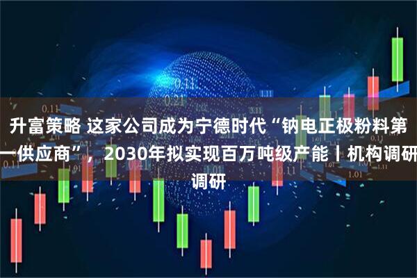 升富策略 这家公司成为宁德时代“钠电正极粉料第一供应商”，2030年拟实现百万吨级产能丨机构调研