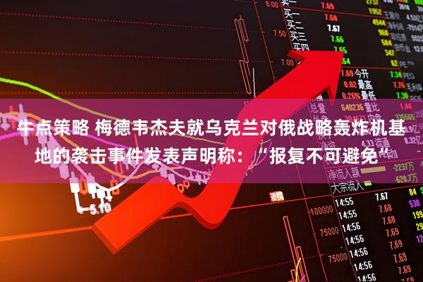 牛点策略 梅德韦杰夫就乌克兰对俄战略轰炸机基地的袭击事件发表声明称：“报复不可避免”